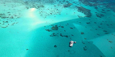 Ocean Free & Ocean Freedom - Cairns Premier Reef And Island Tours - Accommodation Adelaide 3
