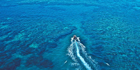 Ocean Free & Ocean Freedom - Cairns Premier Reef And Island Tours - Accommodation Adelaide 4