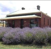 Lavender House in Railway Park - Accommodation Adelaide