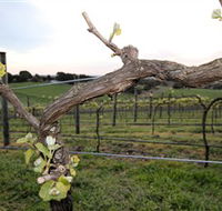 Nalbra Estate Wines - Accommodation Adelaide