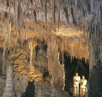 Mammoth Cave - Accommodation Adelaide
