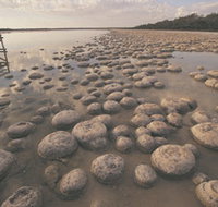 Lake Clifton Thrombolites - Accommodation Adelaide