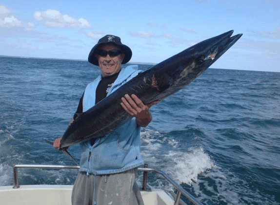 Jervis Bay Fishing And Charters - Accommodation Adelaide 4