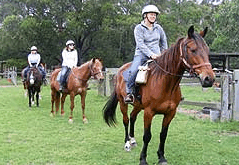 Valhalla Horse Riding - Accommodation Adelaide 2