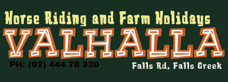 Valhalla Horse Riding - Accommodation Adelaide 4
