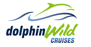 Dolphin Wild Cruises - Accommodation Adelaide 4
