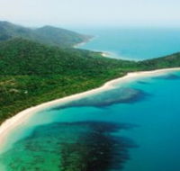 Jungle Tours and Trekking - Accommodation Adelaide