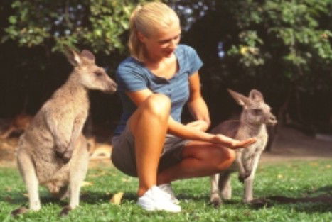 Jungle Tours And Trekking - Accommodation Adelaide 1