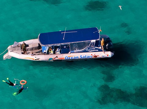 Jungle Tours And Trekking - Accommodation Adelaide 5