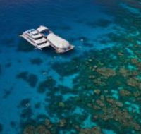 Great Adventures Reef and Green Island Cruises - Accommodation Adelaide