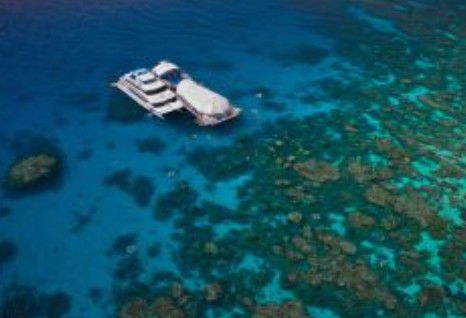 Great Adventures Reef And Green Island Cruises - Accommodation Adelaide 0