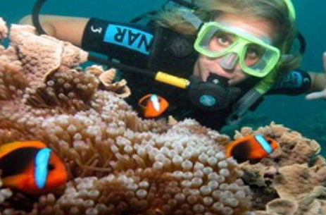 Ocean Spirit Cruises - Accommodation Adelaide 1