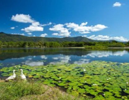 Blazing Saddles Adventures - Accommodation Adelaide 1