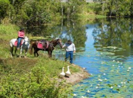 Blazing Saddles Adventures - Accommodation Adelaide 2