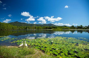 Blazing Saddles Adventures - Accommodation Adelaide 3