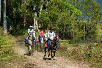 Blazing Saddles Adventures - Accommodation Adelaide 4