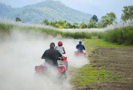 Blazing Saddles Adventures - Accommodation Adelaide 5