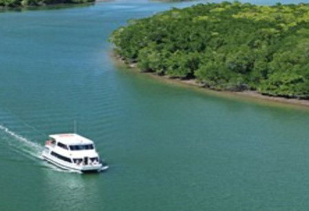 Cairns Harbour Cruises - Accommodation Adelaide 3