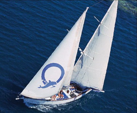 Ocean Free & Ocean Freedom - Cairns Premier Reef And Island Tours - Accommodation Adelaide 0