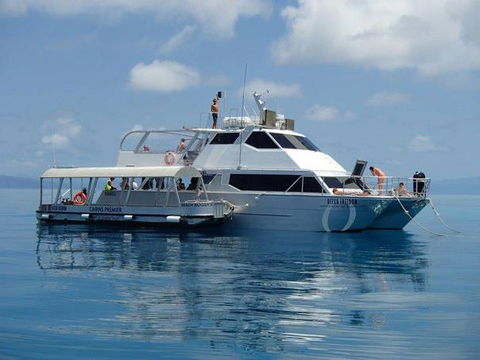 Ocean Free & Ocean Freedom - Cairns Premier Reef And Island Tours - Accommodation Adelaide 1