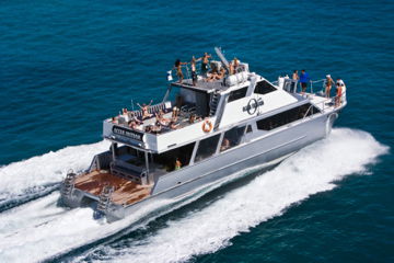 Ocean Free & Ocean Freedom - Cairns Premier Reef And Island Tours - Accommodation Adelaide 2