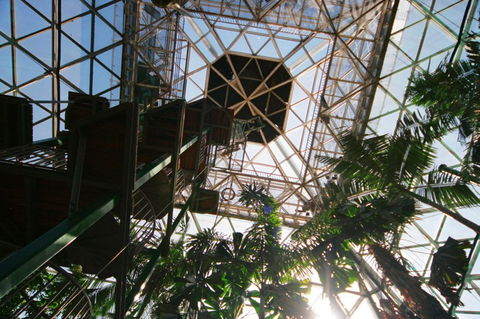Cairns ZOOm And Wildlife Dome - Accommodation Adelaide 1