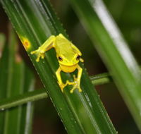 Daintree River Cruise Centre - Accommodation Adelaide