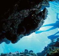 Deep Sea Divers Den - Accommodation Adelaide