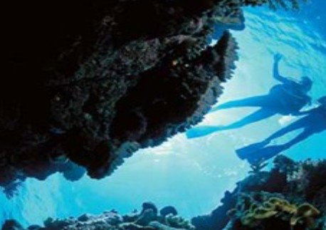 Deep Sea Divers Den - Accommodation Adelaide 0
