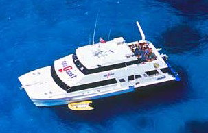 Deep Sea Divers Den - Accommodation Adelaide 3