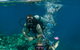 Down Under Cruise And Dive - thumb 0
