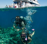 Down Under Cruise and Dive - Accommodation Adelaide