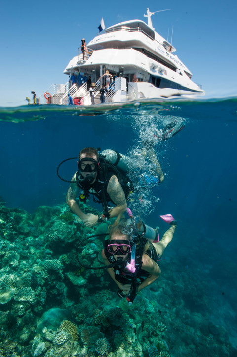 Down Under Cruise And Dive - Accommodation Adelaide 0