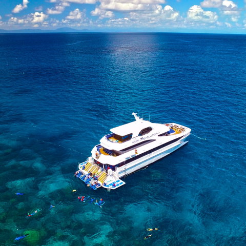 Down Under Cruise And Dive - Accommodation Adelaide 1