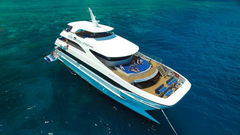 Down Under Cruise And Dive - Accommodation Adelaide 2