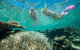 Down Under Cruise And Dive - thumb 4