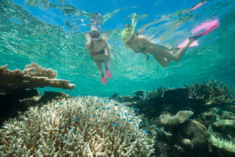 Down Under Cruise And Dive - Accommodation Adelaide 4
