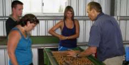 Food Trails Tours - Accommodation Adelaide 3