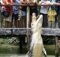 Hartley's Crocodile Adventures - Accommodation Adelaide