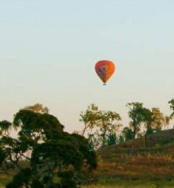 Hot Air Balloon - Accommodation Adelaide 1
