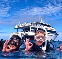 Pro Dive Cairns - Accommodation Adelaide