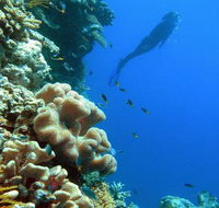 Reef Magic Cruises - Accommodation Adelaide