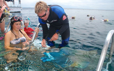 Reef Magic Cruises - Accommodation Adelaide 4