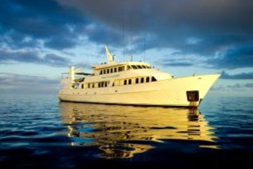 Spirit Of Freedom - Accommodation Adelaide 0