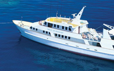 Spirit Of Freedom - Accommodation Adelaide 4