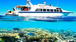 Reef Jet Cruises - Accommodation Adelaide 2