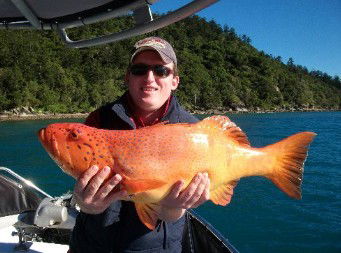 Gone Fishing By Coral Sea Fishing Charters Airlie Beach - Accommodation Adelaide 0