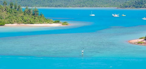 Salty Dog Sea Kayaking - Accommodation Adelaide 10