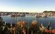 Mantaray Charters - thumb 0