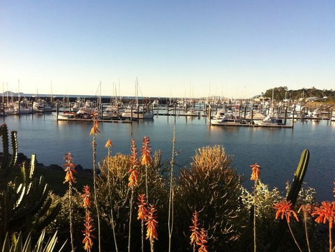 Mantaray Charters - Accommodation Adelaide 0